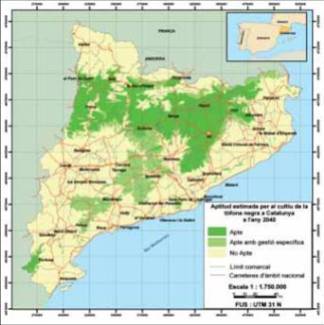 potential area for truffle farming in catalonia in 2030