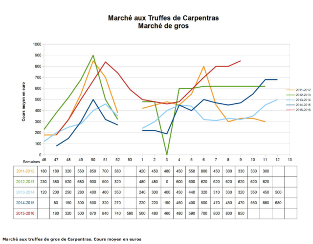 Carpentras truffle market €
