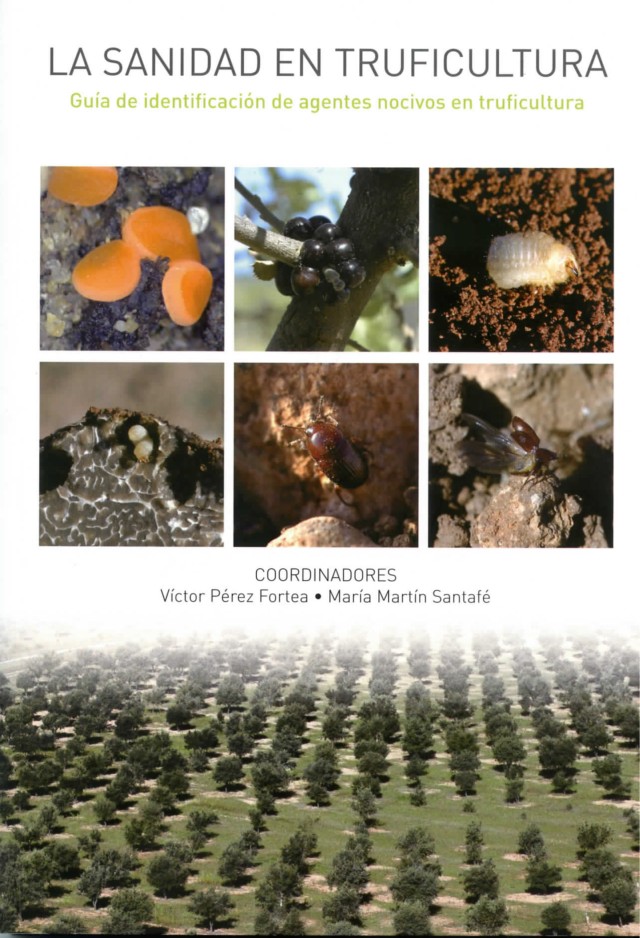 book pests and diseases of truffles and oaks micofora