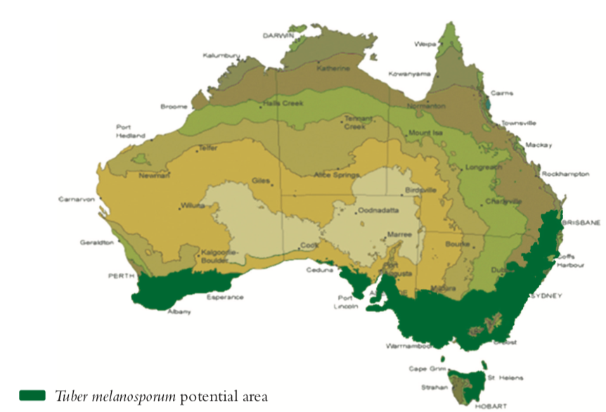 truffle farming map of Australia micofora