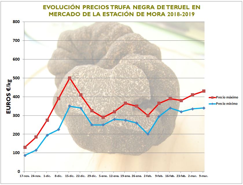 truffle prices in Spain season 2018-19