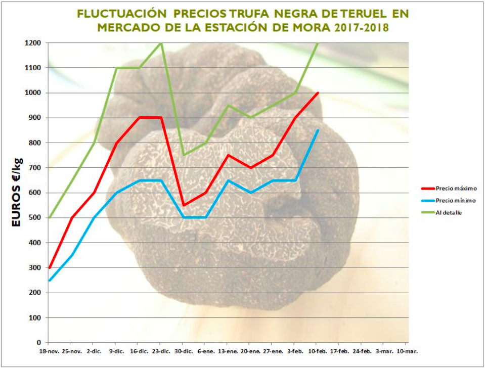 truffle prices in Spain season 2017-18